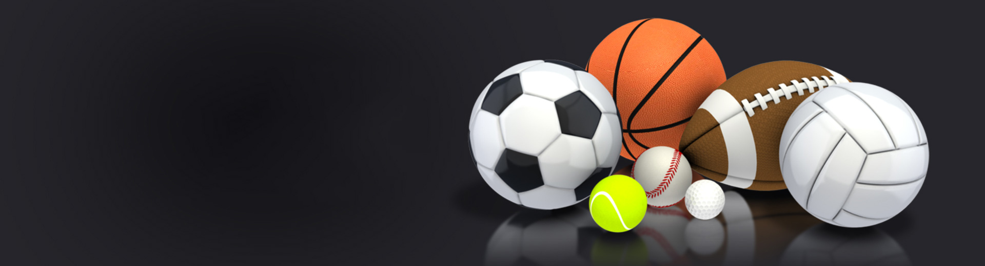 Sporting Goods Manufacturers in Germany