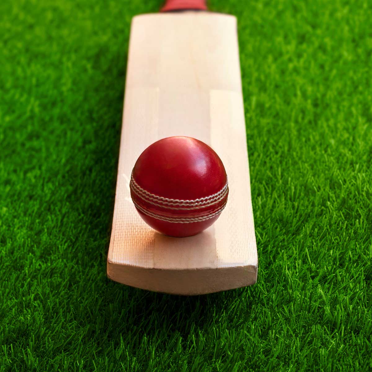 Cricket Bats Manufacturers in Pakistan