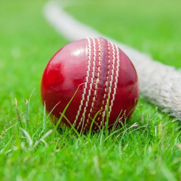 Cricket Balls Suppliers in Hamilton