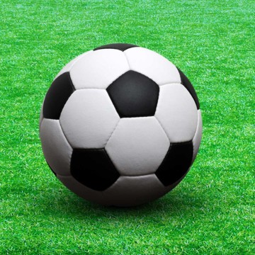 Sala Ball Suppliers in Hamilton